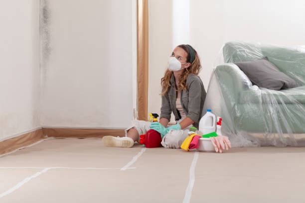 Reliable Black Mold Remediation contractor in Spring Lake, MI by Car Mold Remediation